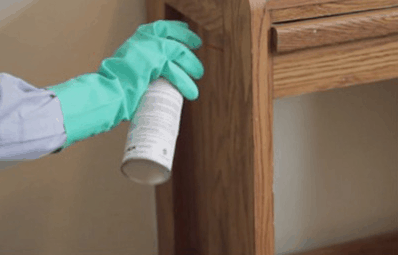 Bed Bug Furniture Inspection