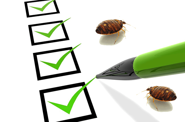 How To Check For Bed Bugs