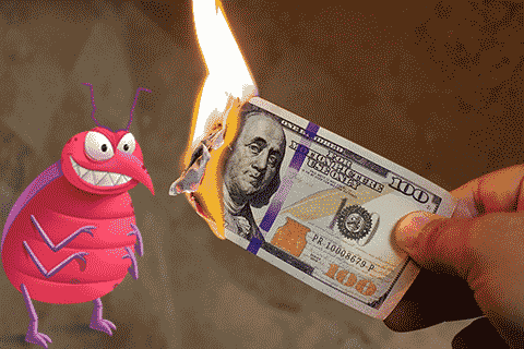 Bed Bug Do-It-Yourself