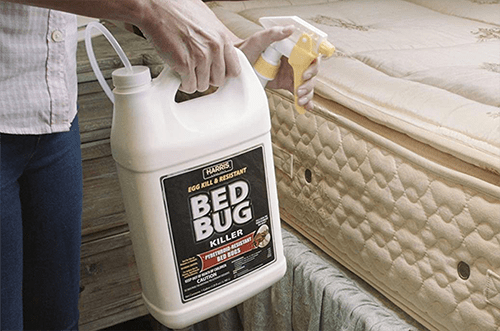 all natural sprays for bed bugs