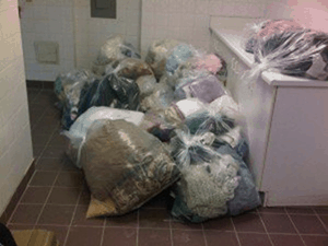Bagged bed bug infested laundry