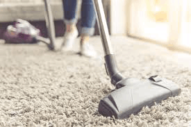 Does Vacuuming Kill Bed Bugs