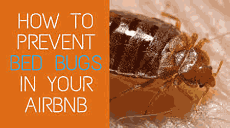 Orkin Bed Bugs Treatment Cost