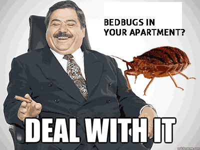 Rochester NY Bed bugs Tenants