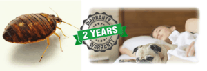 bed bug 2 year warranty