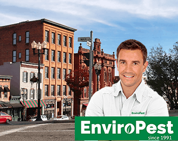 Geneva NY Exterminators