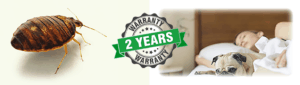 2 year warranty on our bed bug services