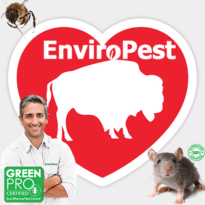 EnviroPest - Buffalo's leading exterminators