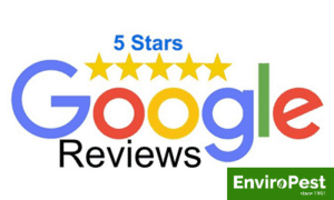 EnviroPest 5 star rating