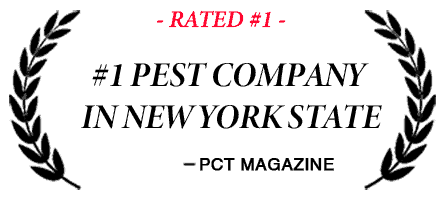 rated #1 pest company in New York State