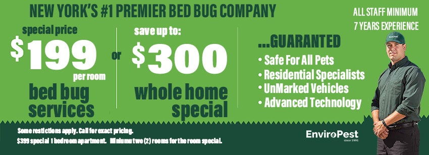bed bug treatment special offer