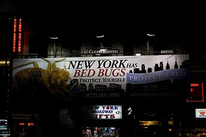 New York bed bugs and skyline