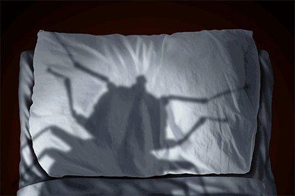 bed bug shadow