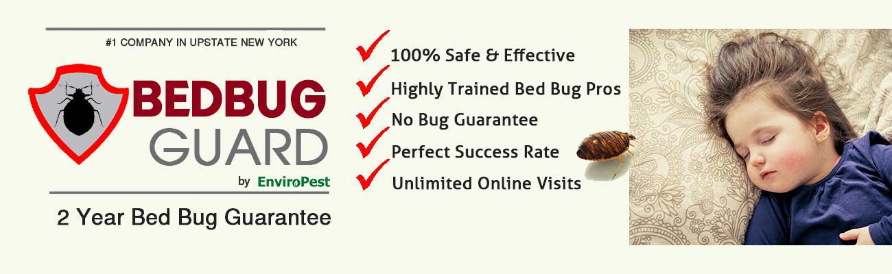 Bed Bug Guard 2 year bed bug guarantee