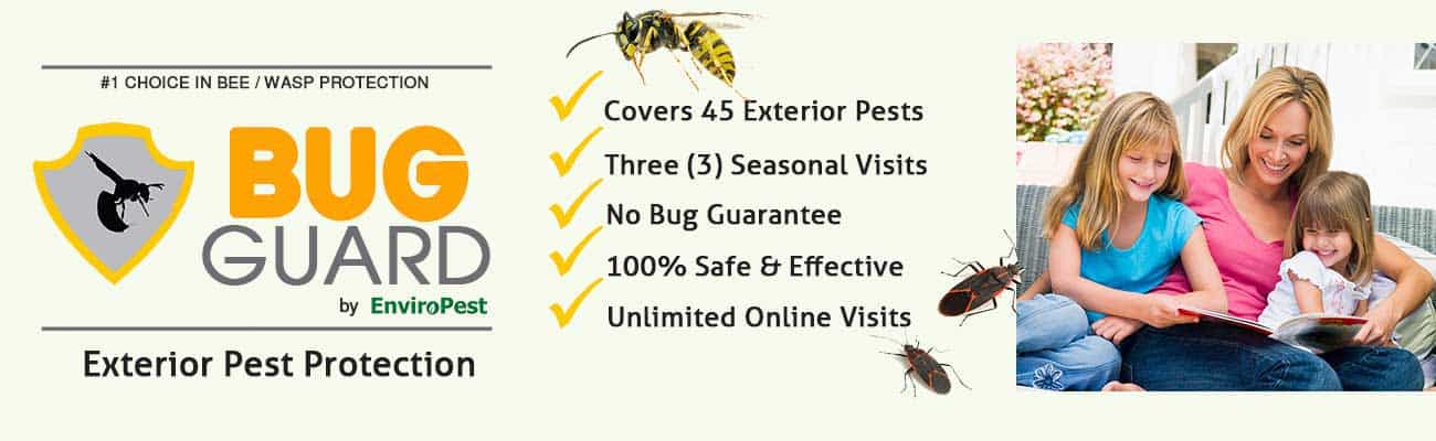 Bug Guard exterior pest protection program