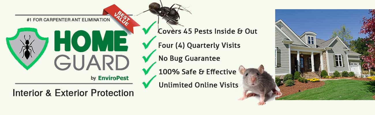 Home Guard interior and exterior pest protection