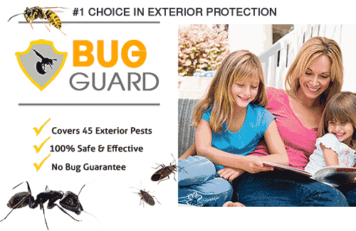 Bug Guard pest control ad