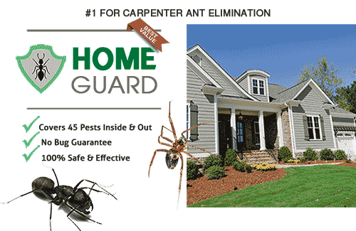 Home Guard pest control ad