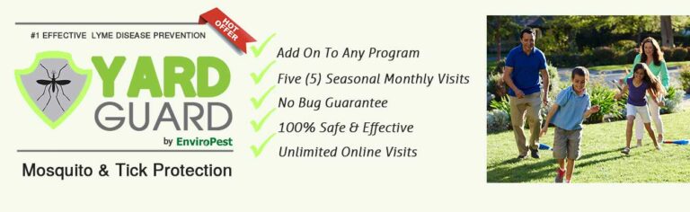 Pest Exterminator Services Near You | Local Pest Control In New York