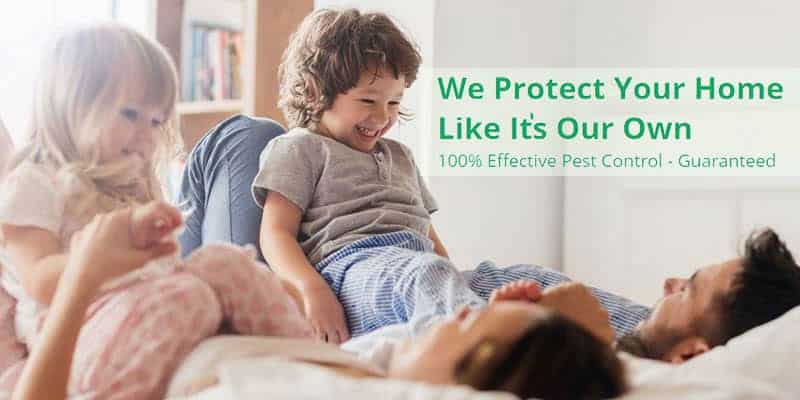 We protect your home like it's our own