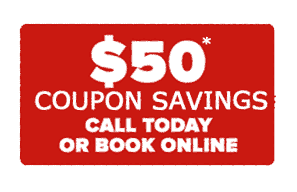 $50 coupon for pest control services