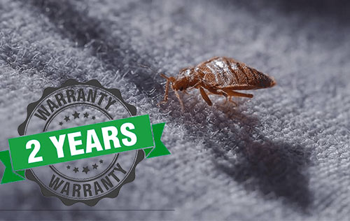 2-year bed bug warranty