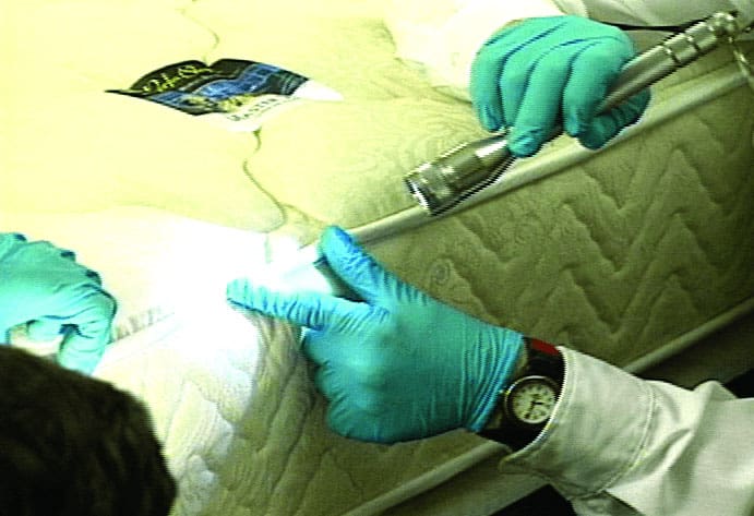 initial step in bed bug inspection at home