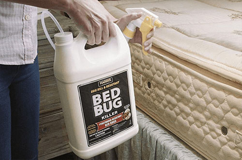 bed bug killer chemical sprayer