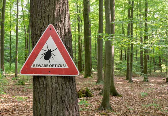 beware of ticks sign