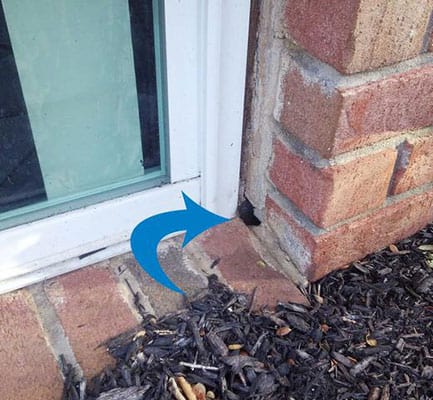 crack in foundation where mouse can enter home