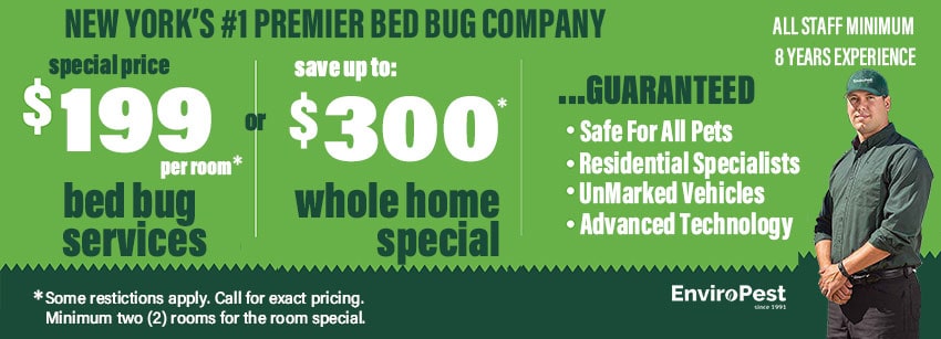 coupon for area bed bug removal service