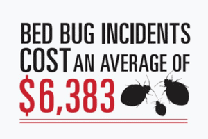 bed bug incidents costs