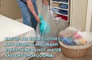 wrapping clothes in bags to kill bed bugs