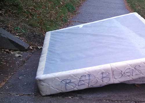 mattress that spreads bed bugs