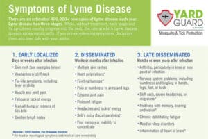 Lyme disease symptoms