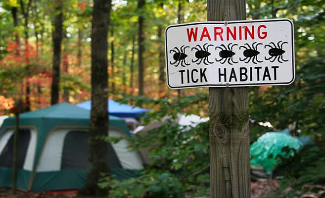 tick warning signs at campsite