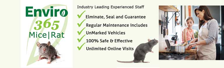Enviro 365 for mice and rats