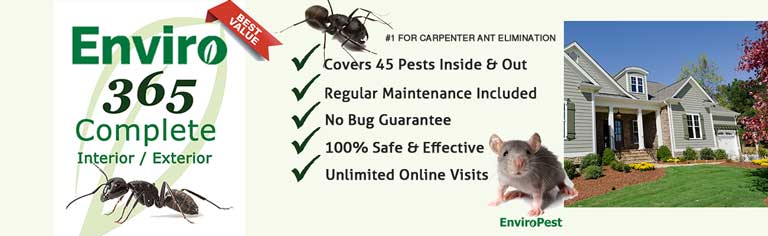 Enviro 365 complete for interior and exterior pests