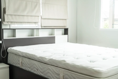 mattress from home in New York that had bed bug infestation