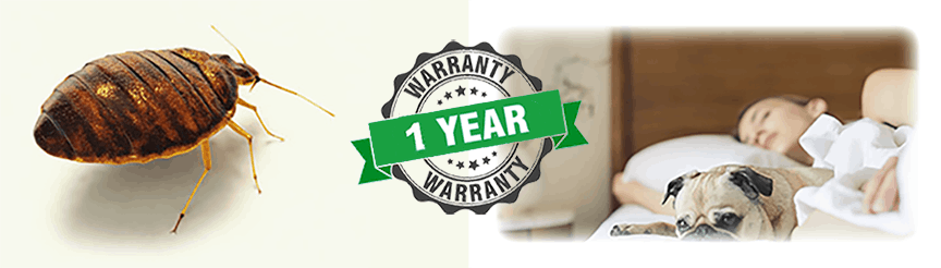 warranty on our bed bug services