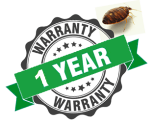 one year bed bug warranty