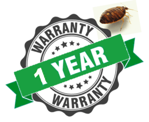 one year bed bug warranty